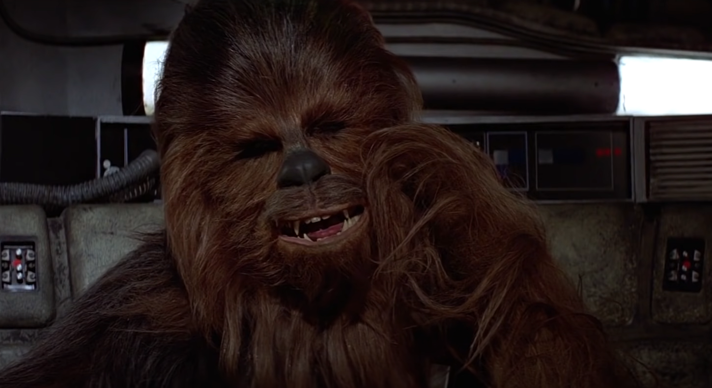 Chewbacca holds his hand near the cheek inside the ship